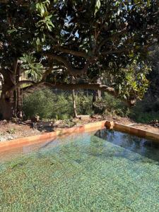 B&B / Chambres d'hotes Villa Magdala Arts & Residence : photos des chambres