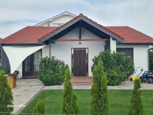 Prestige by Privilege Felix