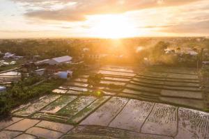 Little Farm House - 3hvězdičkové hotely ve městě Kerobokan