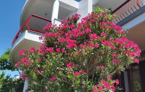 Melone Apartman 3 Senj by Villas Guide