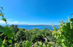 Melone Apartman 1 Crikvenica by Villas Guide