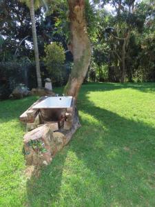 High Tide & Green Grass