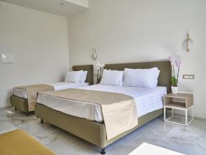 King Vittorio Guest House