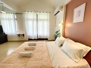 The Driftwood Dan Studio Flat Colva, anirah