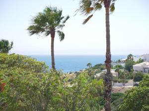 Large three-bedroom apartment