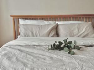 Cozy Modern Studio at Shin-Bundang Line