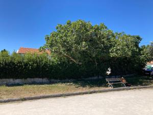 Appartements LES TREMIERES N°1 - A 5MN DES PLAGES A VELO : photos des chambres