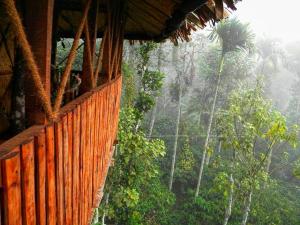 Greens Tree House & Wood House