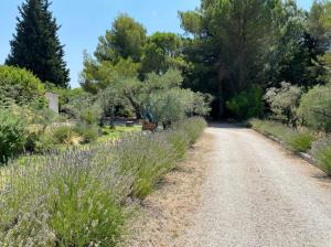 Villas Villa provencale avec piscine : photos des chambres