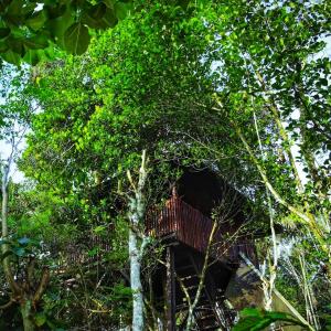 Greens Tree House & Wood House