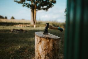 Tiny Glamp - Kontejner Louka