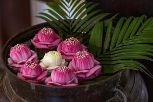 Lynnaya Urban River Resort