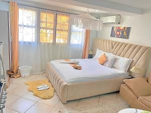 Executive Homely Studio apt