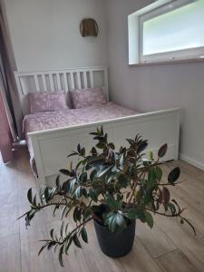 Tauralaukis Forest & Terrace