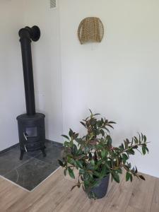 Tauralaukis Forest & Terrace