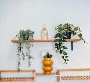 Appartements Le petit coin vert de Paris : photos des chambres