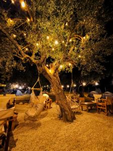 Camping Qeparo