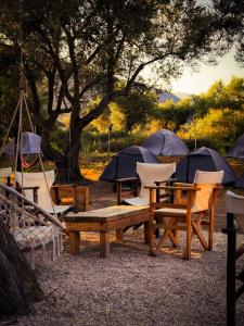 Camping Qeparo