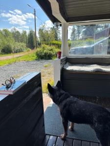 Gemütliches Blockhaus