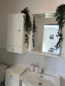 Appartements Pont du Gard : photos des chambres