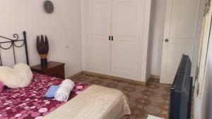 Central Room with Terrace Access - MARBELLA