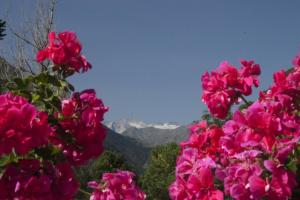 Apartamento con jardin en Gessa