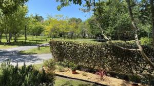 Mobil Home Premium avec vue sur le lac