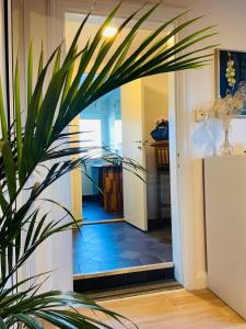 Apartment in farmhouse onground floor