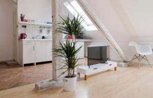 Bright Loft next to the ruin pubs FREE AIRCONDITIONER FREE COFFEE