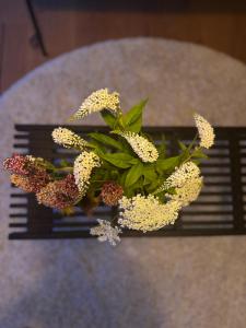 Nordic Designer Summerhouse - With a fantastic view