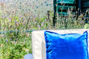 Villino Le Pavoncelle img31