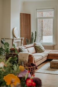 Ruim en charmant verblijf in hartje Ieper