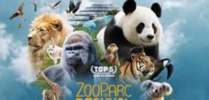Maisons de vacances Gite a 15min du zoo de Beauval : photos des chambres
