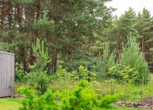 Cozy Spot in pinewood apartment