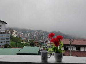 3 Minutes walk to burnham park