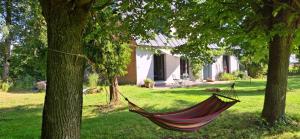 Nature Lovers House