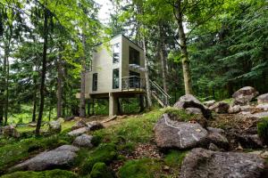 Treehouse Karpacz - Magiczne domki na drzewie w Karpaczu - wyjatkowy nocleg blisko natury