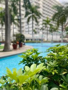 Cozy Place at Shell Residences