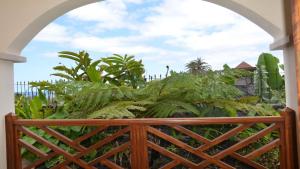 Apartamento Heliconia 1