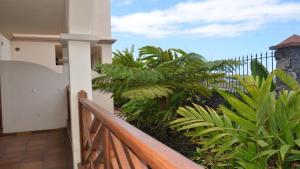 Apartamento Heliconia 1