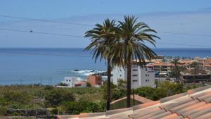 Apt. Heliconia Nº 4