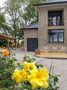 Maisons de vacances Le Manoir : photos des chambres