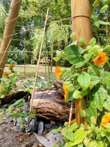 Maisons de vacances Le Manoir : photos des chambres