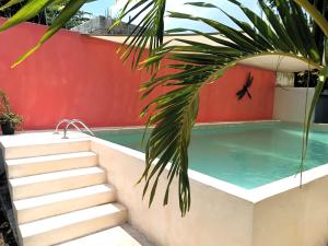 El Turix Bacalar