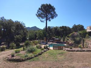 Appartements Gites Albareddu Conca : photos des chambres