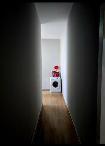 Shtepi,Apartament me qera , Pogradec