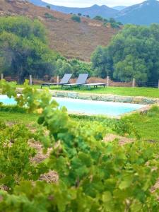 Villas Bergerie de Charme Pedi Lione : photos des chambres