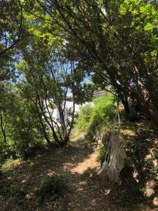 Le gîte de la Sauvagine