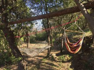 Le gîte de la Sauvagine