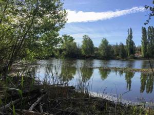 Le gîte de la Sauvagine